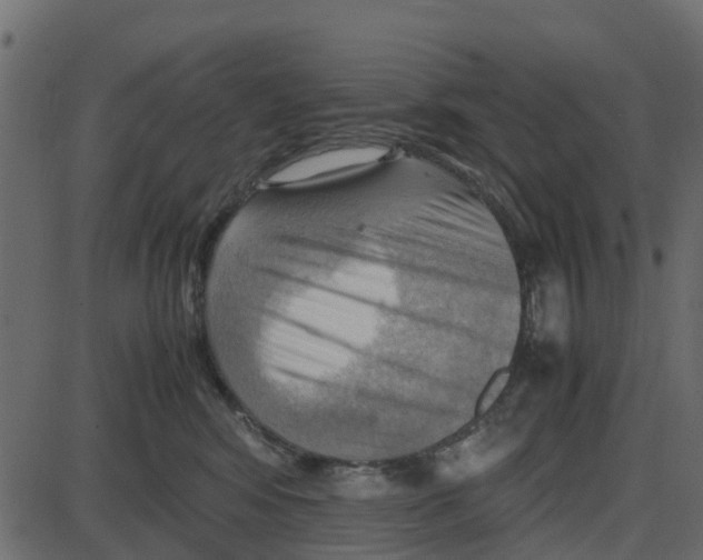 X0000087400424200705181337