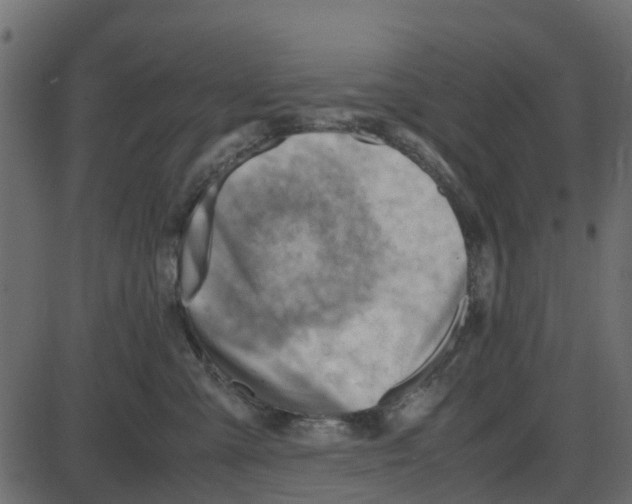 X0000087400427200705181337