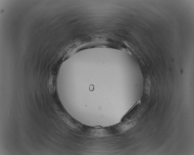 X0000087400428200705181337