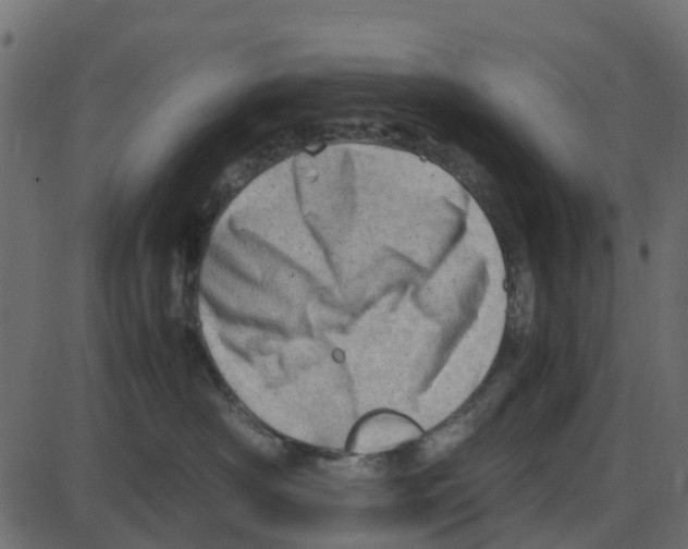 X0000087400430200705181337