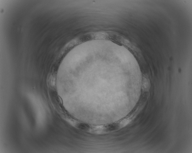 X0000087400431200705181337