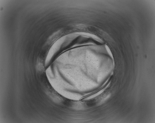 X0000087400432200705181337