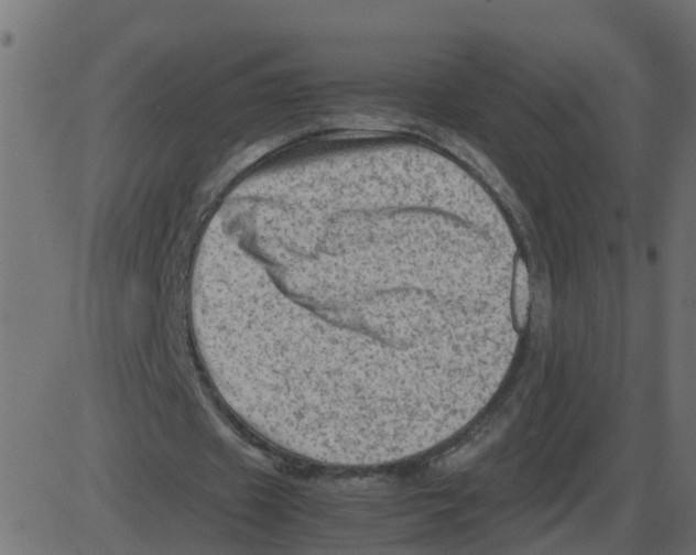 X0000087400433200705181336