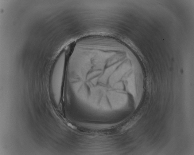 X0000087400434200705181336