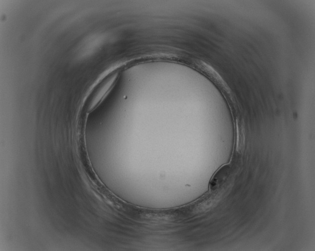 X0000087400435200705181336