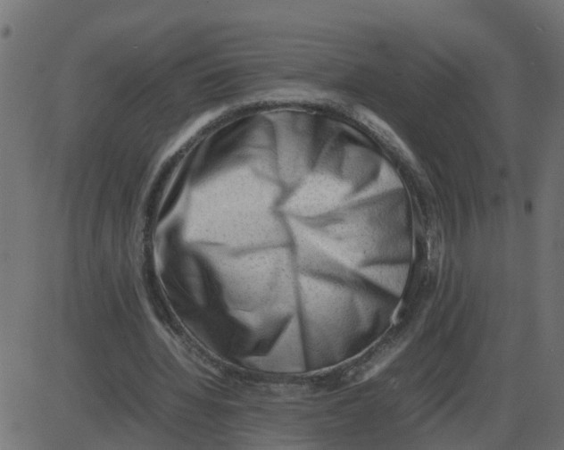 X0000087400436200705181336