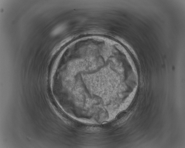 X0000087400437200705181336