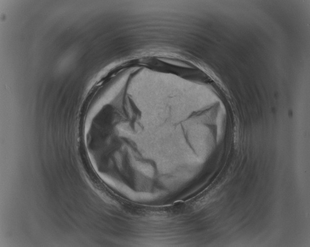 X0000087400438200705181336