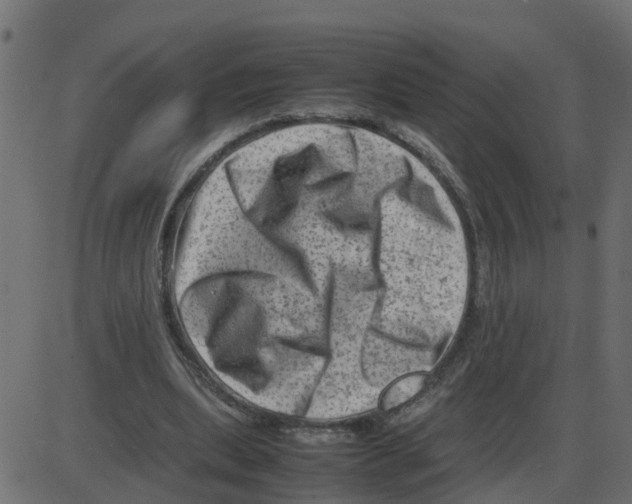 X0000087400439200705181336