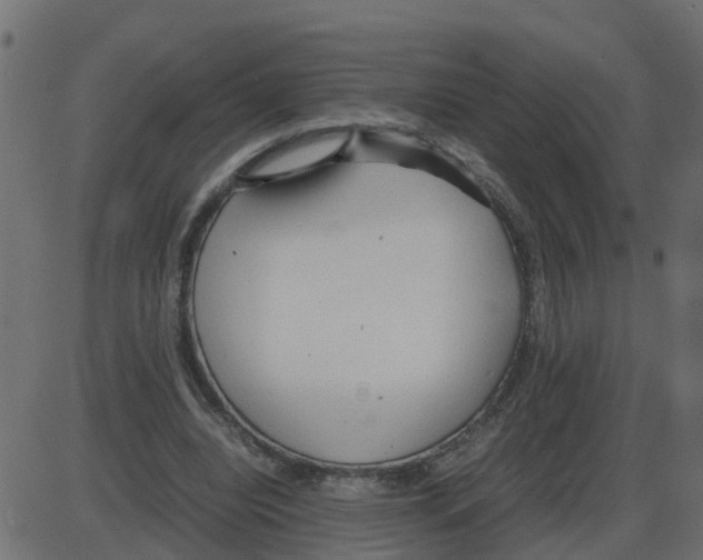 X0000087400440200705181336