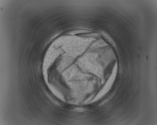 X0000087400441200705181336