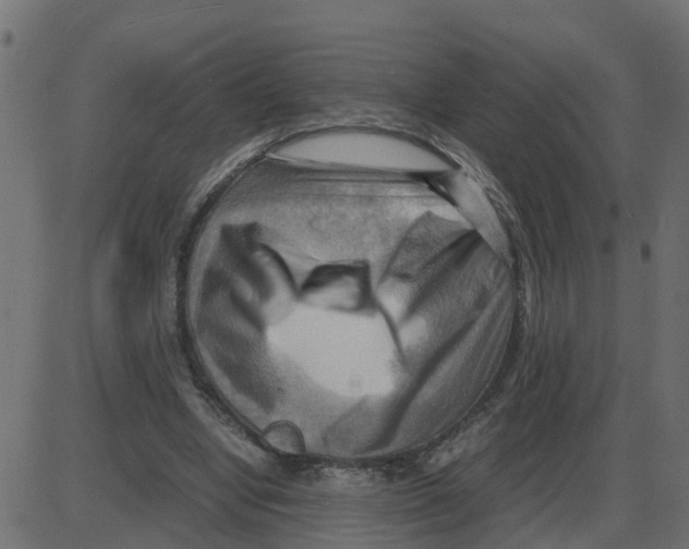 X0000087400442200705181336