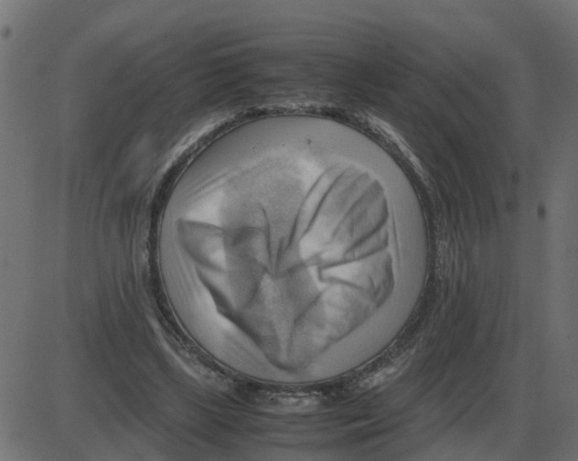 X0000087400443200705181336