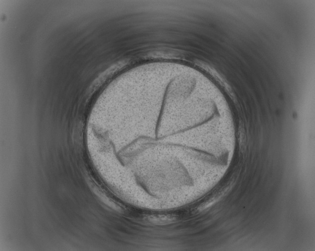 X0000087400445200705181336