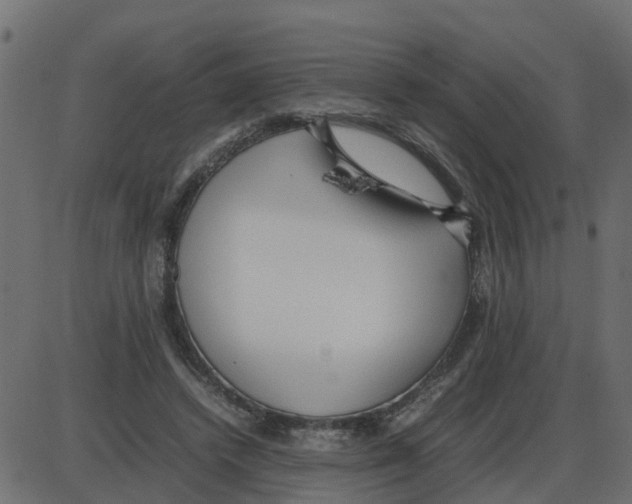 X0000087400448200705181336