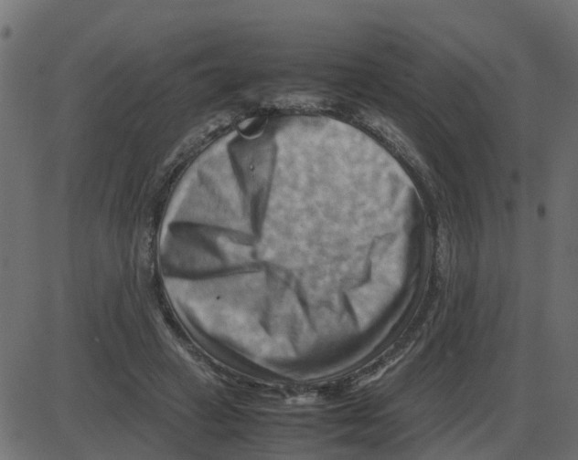 X0000087400449200705181336