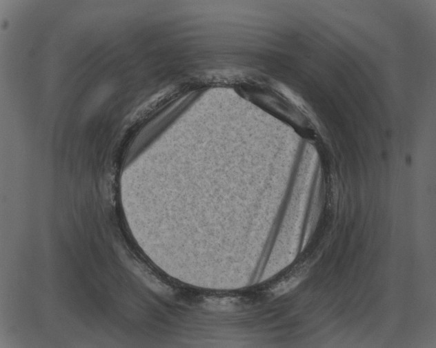 X0000087400450200705181336