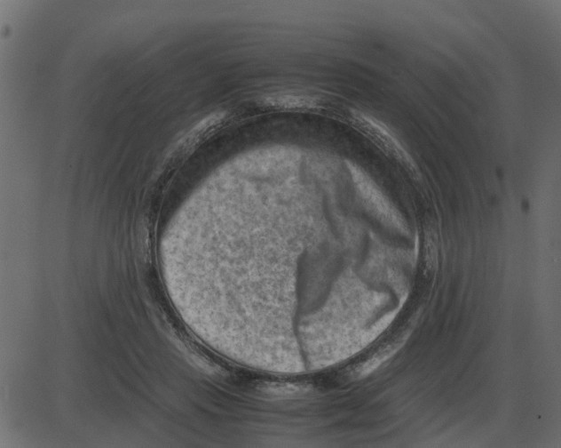 X0000087400453200705181336