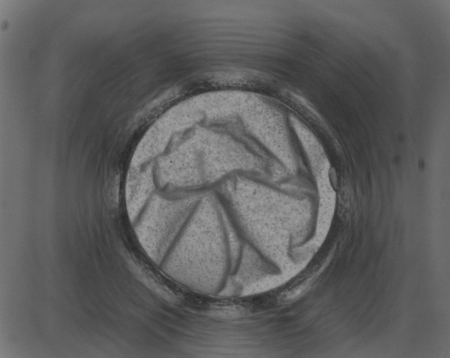 X0000087400454200705181336