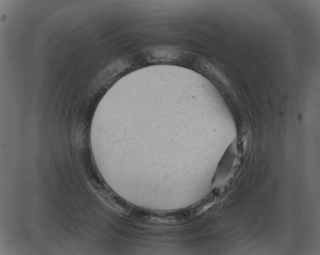 X0000087400455200705181336