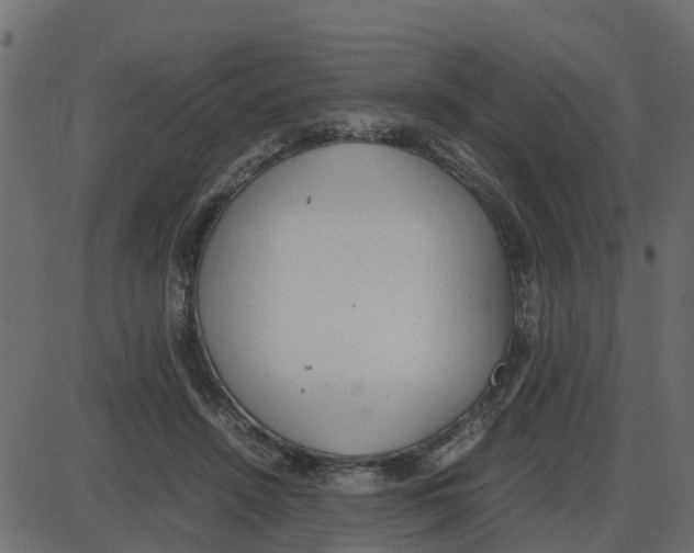 X0000087400456200705181336