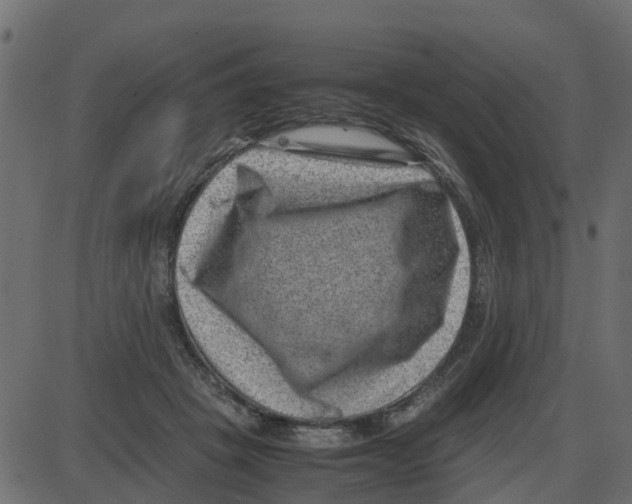 X0000087400457200705181336