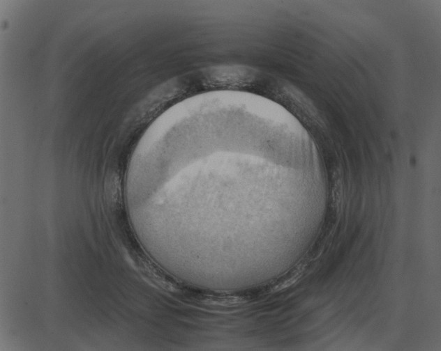 X0000087400459200705181337