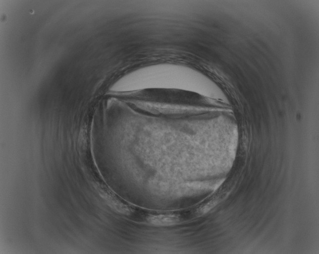 X0000087400461200705181337