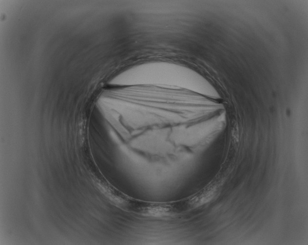 X0000087400462200705181337