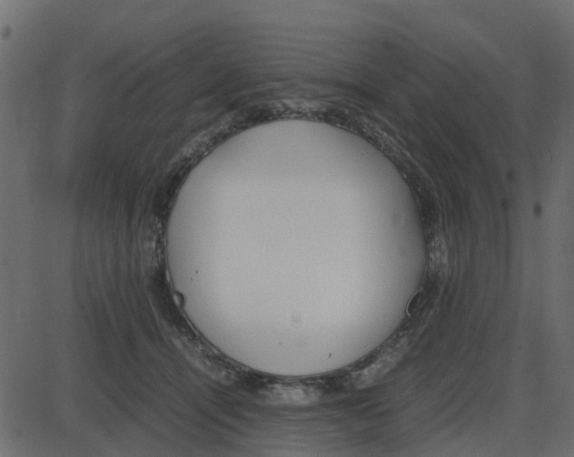 X0000087400464200705181337