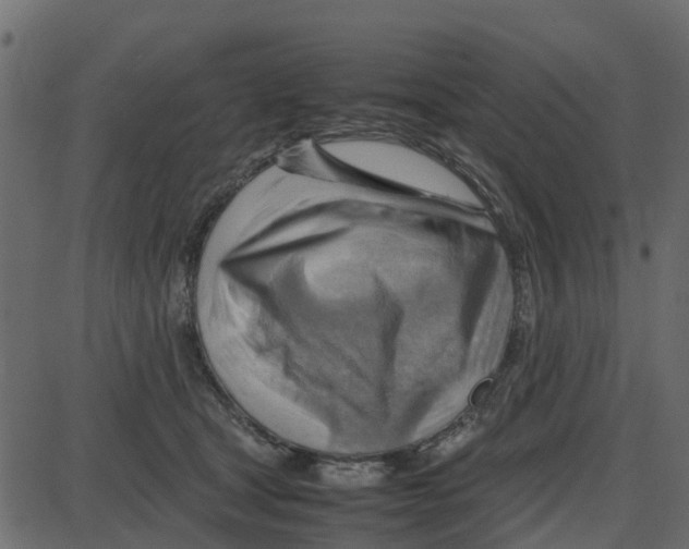 X0000087400465200705181337