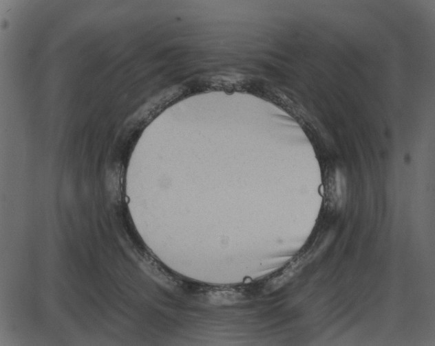 X0000087400468200705181337