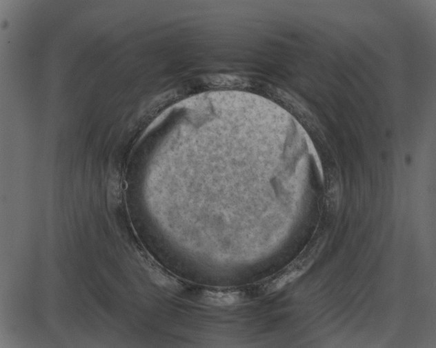 X0000087400469200705181337