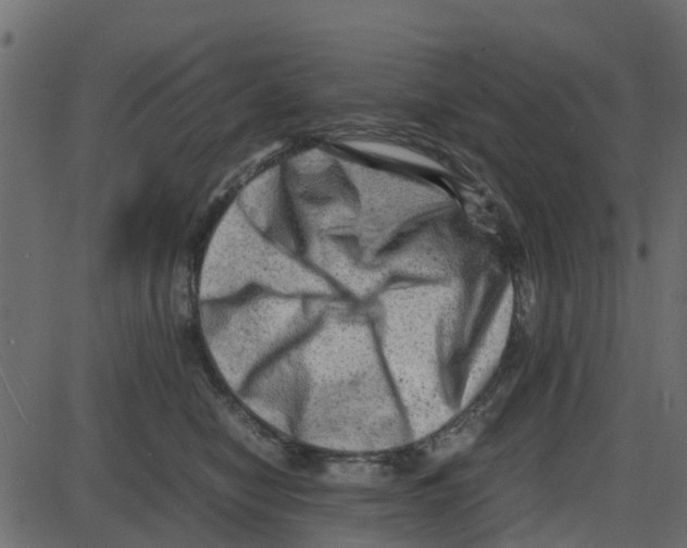 X0000087400470200705181337