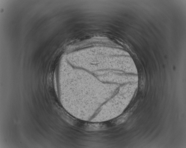 X0000087400473200705181337