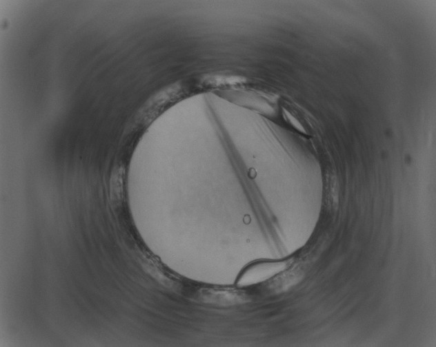 X0000087400475200705181337