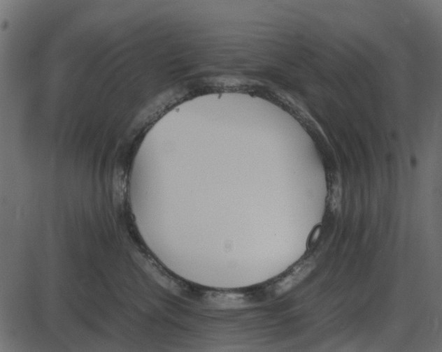 X0000087400476200705181337