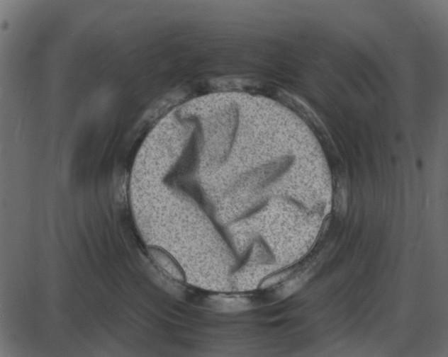 X0000087400477200705181337