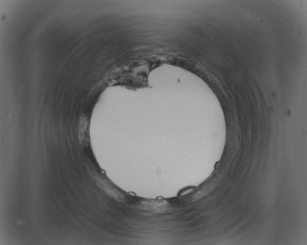 X0000087400480200705181337