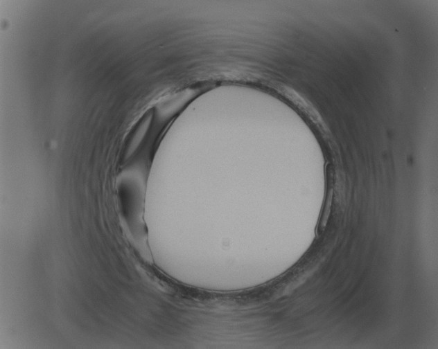 X0000087400481200705181336