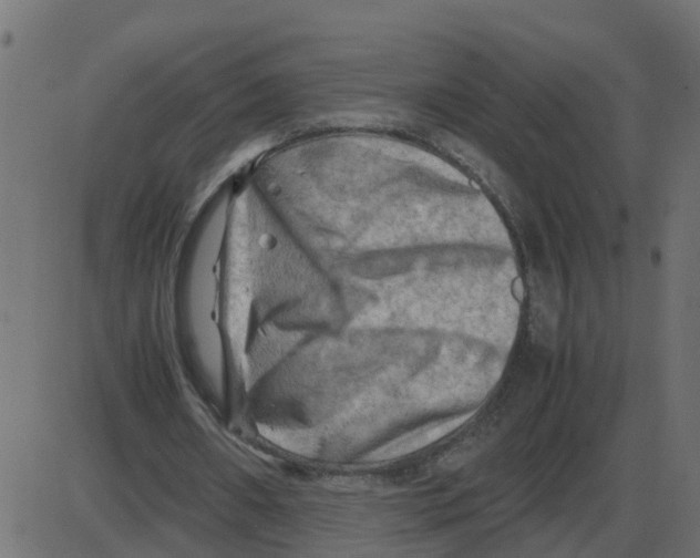 X0000087400482200705181336