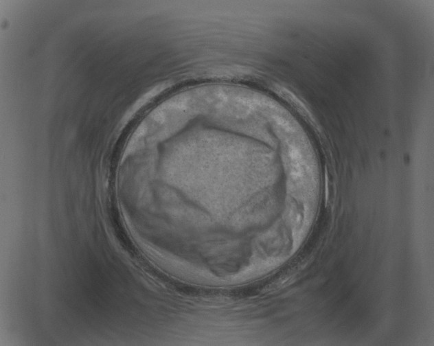 X0000087400483200705181336