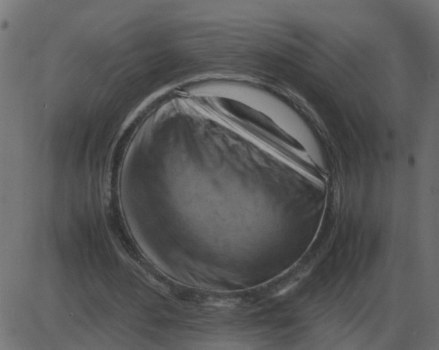 X0000087400484200705181336