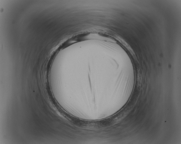 X0000087400485200705181336