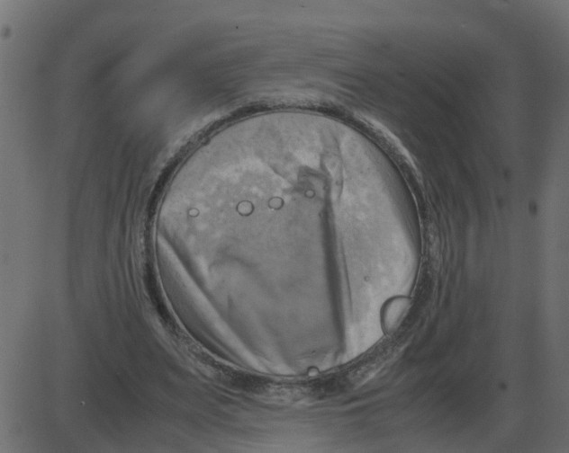 X0000087400487200705181336