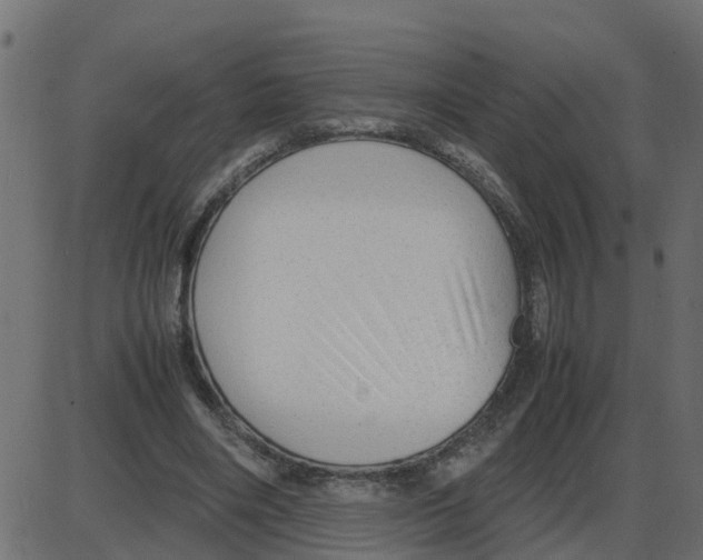 X0000087400490200705181336