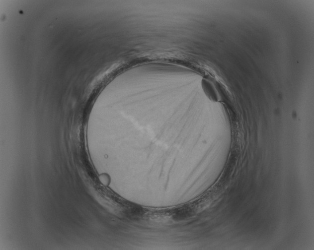 X0000087400491200705181336