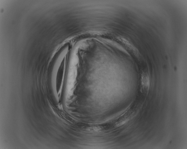 X0000087400492200705181336