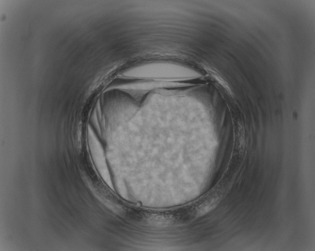 X0000087400494200705181336