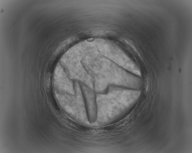 X0000087400495200705181336